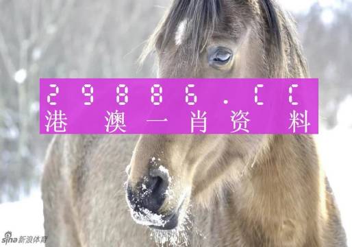 澳門精準一肖一碼，揭秘預測背后的秘密與真相，澳門精準預測一肖一碼揭秘，預測背后的真相探索