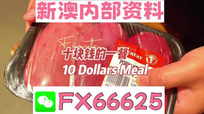 新澳精準資料免費提供的價值與影響，新澳精準資料免費提供的價值及其影響