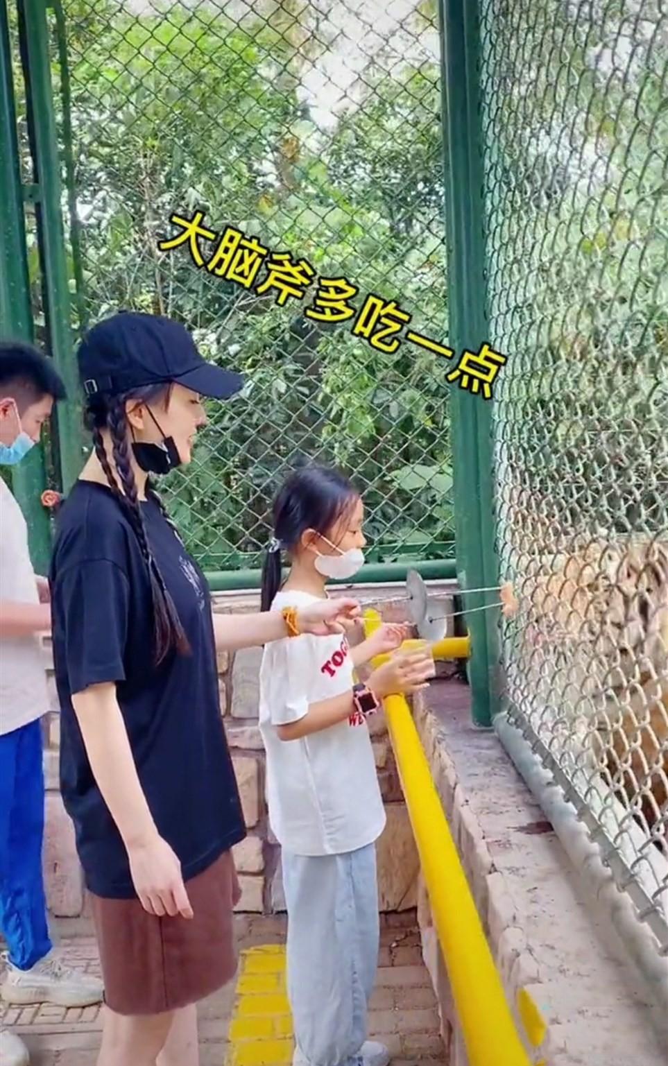 李小璐與賈乃亮分手原因深度探討，李小璐與賈乃亮分手原因深度解析