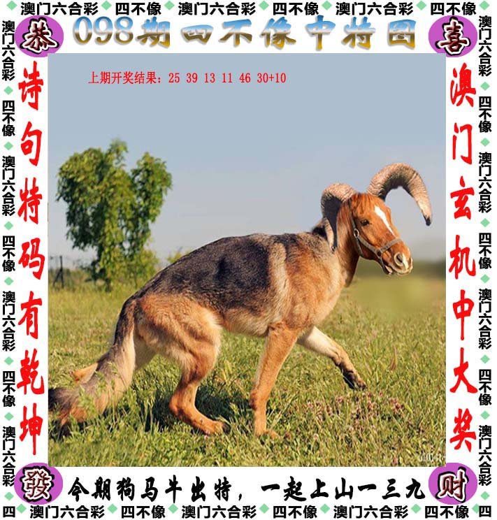澳門正版四不像，探索與解析，澳門正版四不像，深入探索與解析